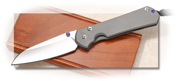 Chris Reeve Sebenza 31 Magnacut Plain Insingo