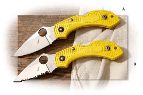 Spyderco Dragonfly 2 Salt - Plain Edge